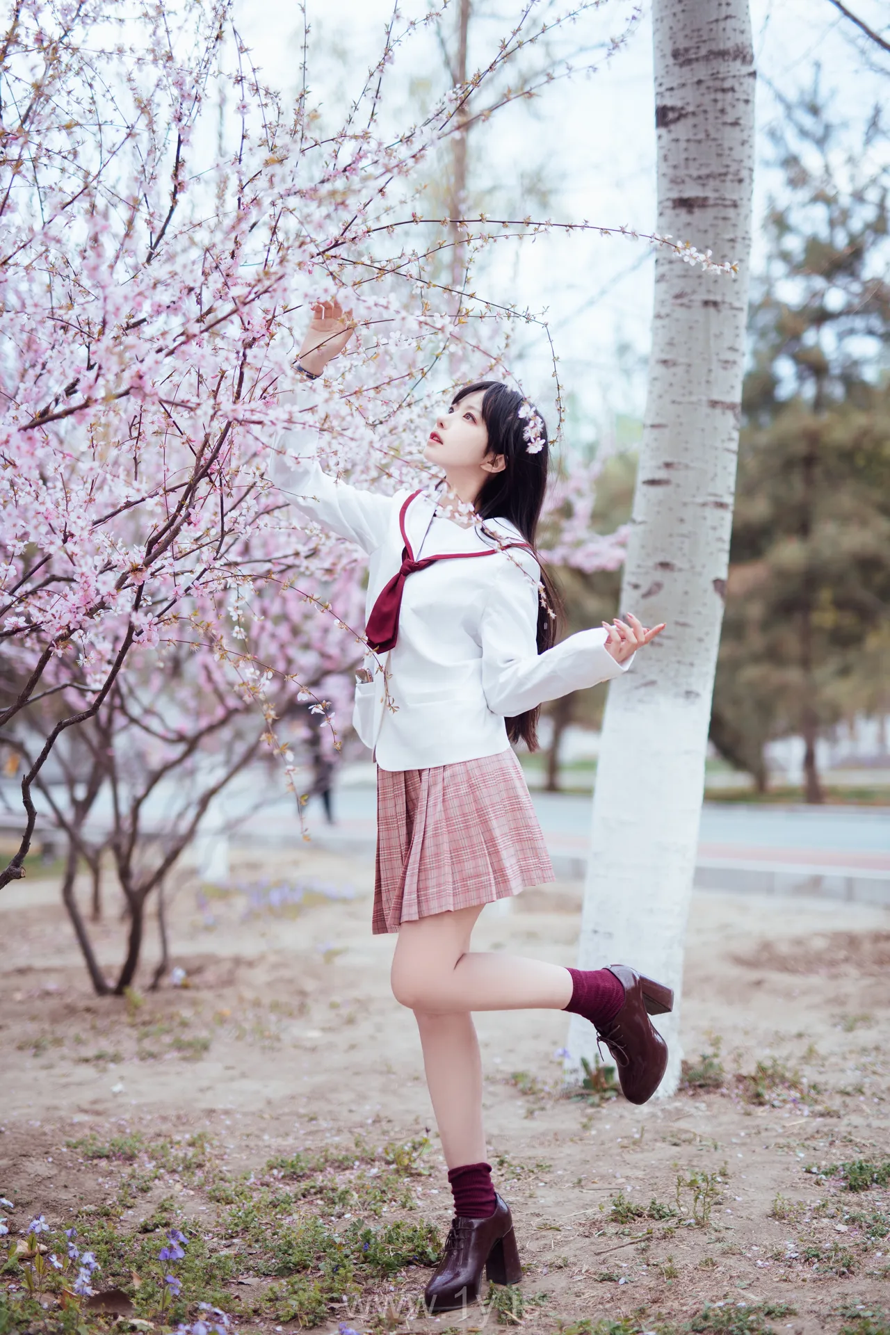 Coser@Shika小鹿鹿 NO.034 Appealing & Beautiful Chinese Hottie 樱花